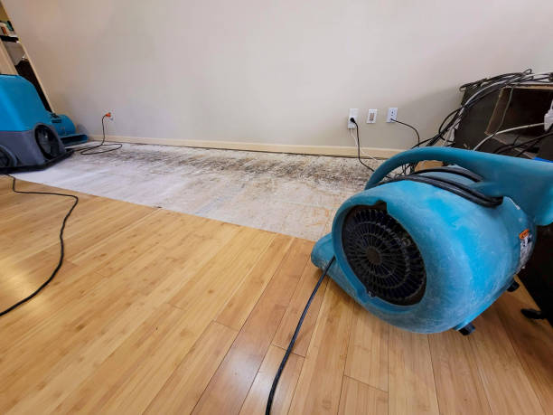 Professional Sewage Cleanup technician working in Minooka, IL